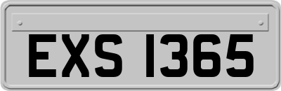 EXS1365