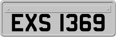 EXS1369