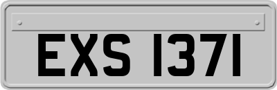 EXS1371