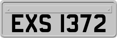 EXS1372
