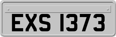 EXS1373