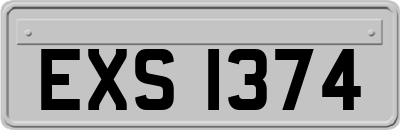 EXS1374
