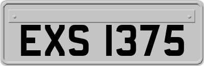 EXS1375