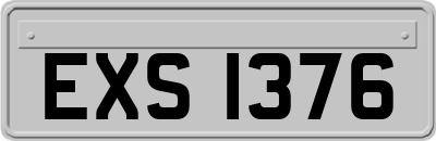 EXS1376
