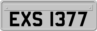EXS1377