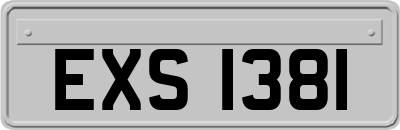 EXS1381