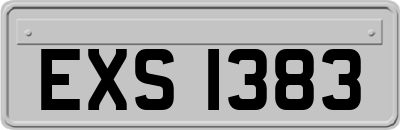 EXS1383