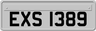EXS1389