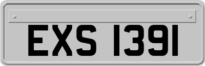 EXS1391