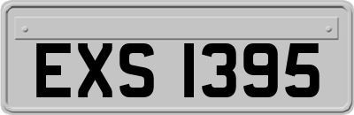 EXS1395
