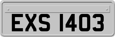 EXS1403