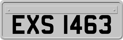EXS1463