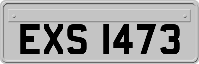 EXS1473