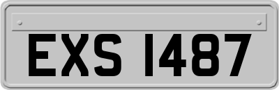 EXS1487