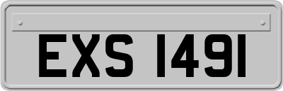 EXS1491