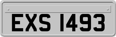 EXS1493