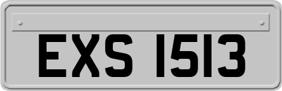 EXS1513