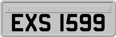 EXS1599