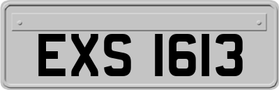 EXS1613