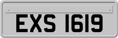 EXS1619
