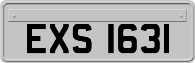 EXS1631
