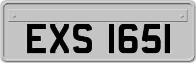 EXS1651