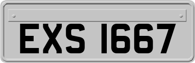EXS1667