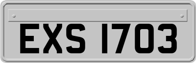 EXS1703