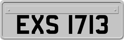 EXS1713
