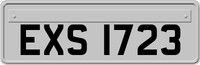 EXS1723