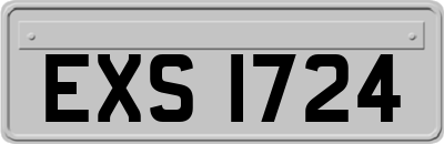 EXS1724
