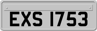 EXS1753
