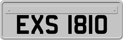EXS1810