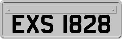 EXS1828