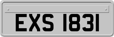 EXS1831