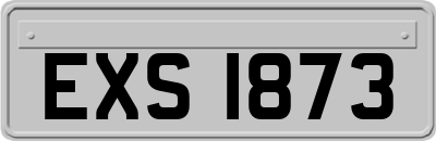 EXS1873