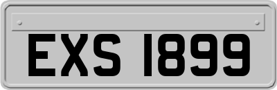EXS1899