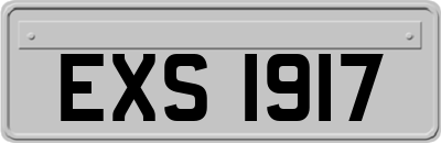 EXS1917