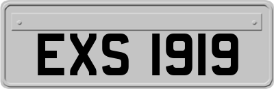 EXS1919