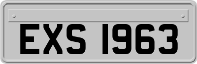 EXS1963