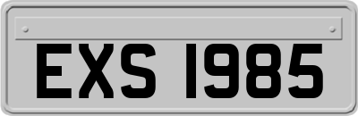 EXS1985