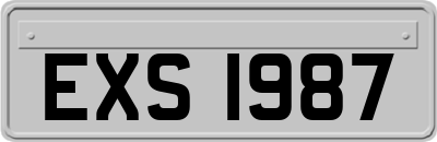 EXS1987