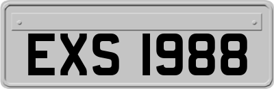 EXS1988