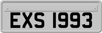 EXS1993