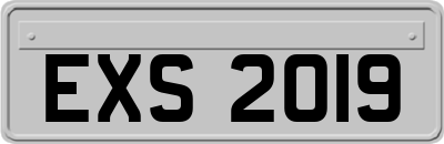 EXS2019