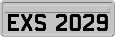 EXS2029
