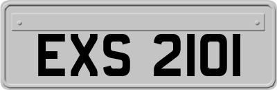 EXS2101