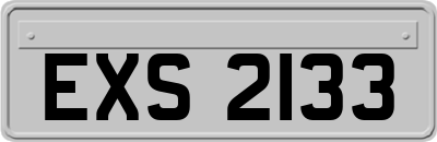 EXS2133