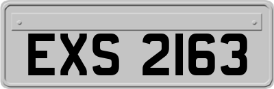 EXS2163