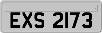 EXS2173